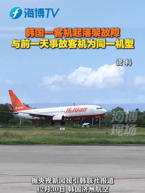新澳正版资料大全免費和客机因炸弹威胁返泰与客机被炸